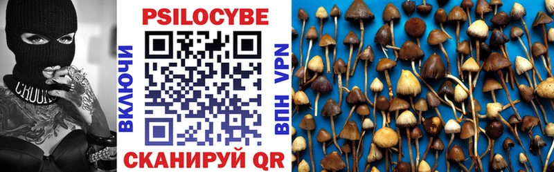 Галлюциногенные грибы Cubensis Кущёвская